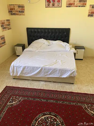 اثاث 3