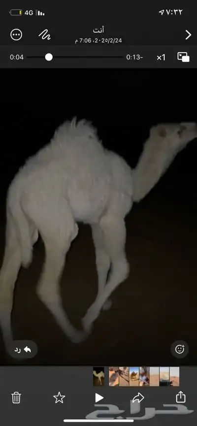 قعود حوار 0