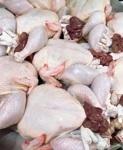 دجاج ذبح طازج عرض خاص حتى نفاذ الكمية 0