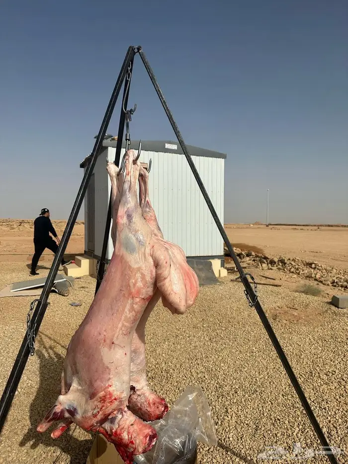 معلم مشويات شوي مشاوي دوار سعادة 6