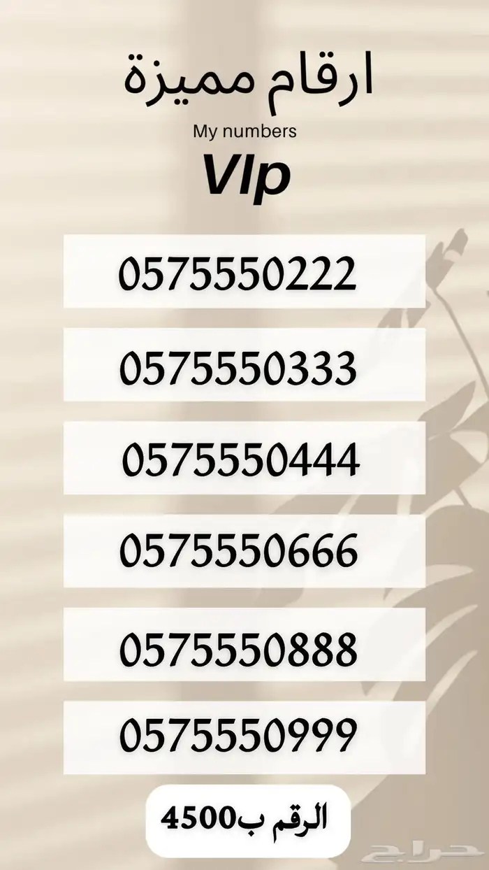 رقم 13