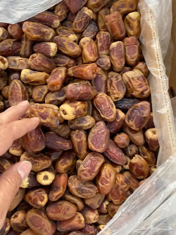 خلاصVIPفاخر 8 كيلو سعر 48 جملة 13