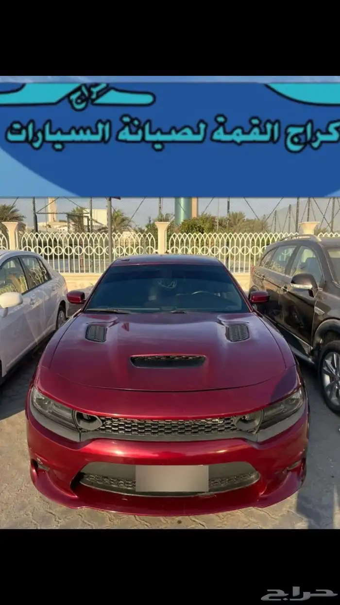 عروض علي تغير لون السياره بالكامل شغل احترافي 14