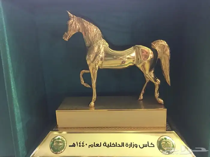 دروع 15