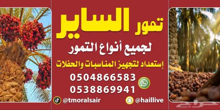 تمور الساير لجميع المناسبات والحفلات وزبد وبقل للبيع 3