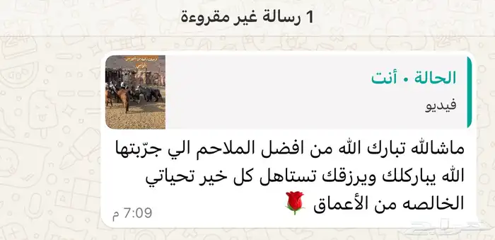 ملحمة ذبايح الحجاز ( اقرأ التعليقات و الصور) 25