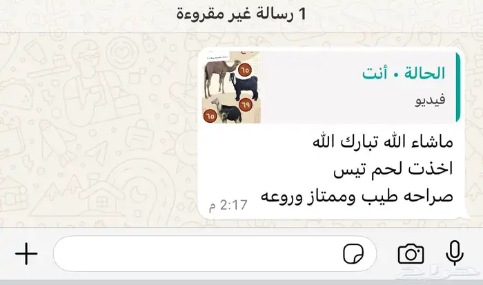 ملحمة ذبايح الحجاز ( اقرأ التعليقات و الصور) 15