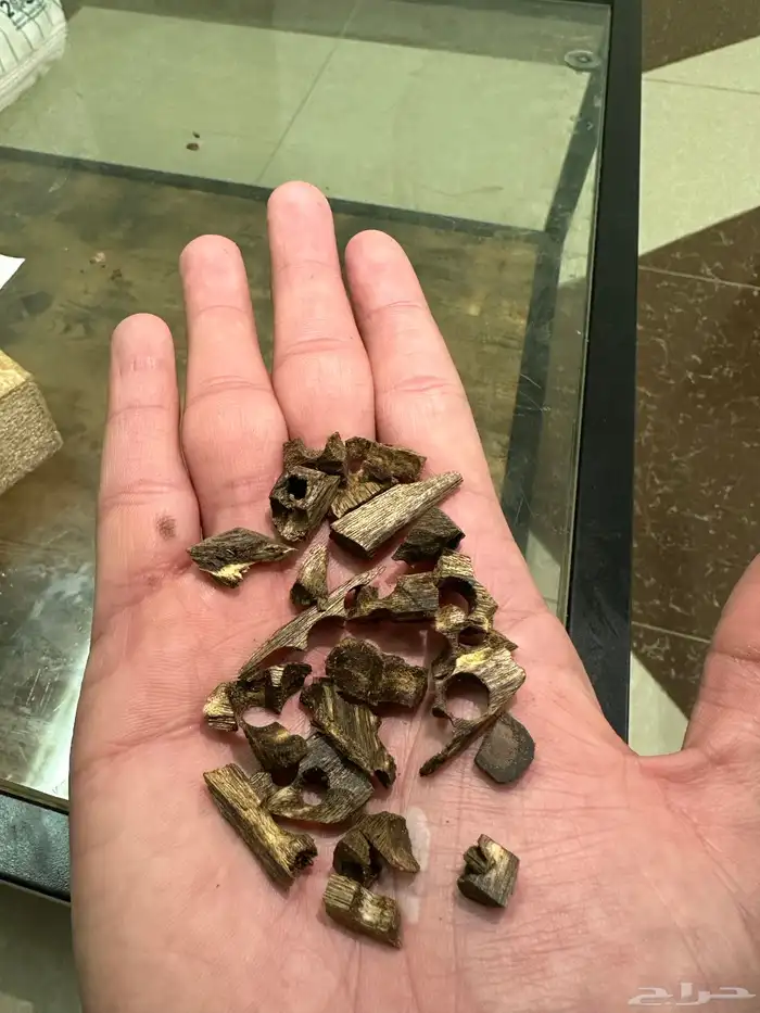 عود 0