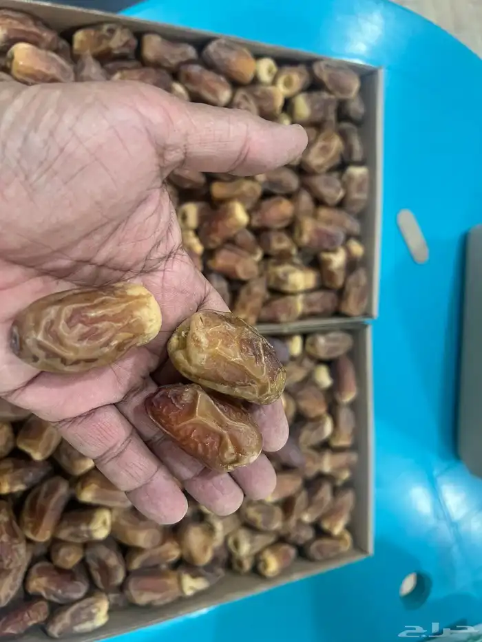 رطب خلاص وبرحي وصقعي 4