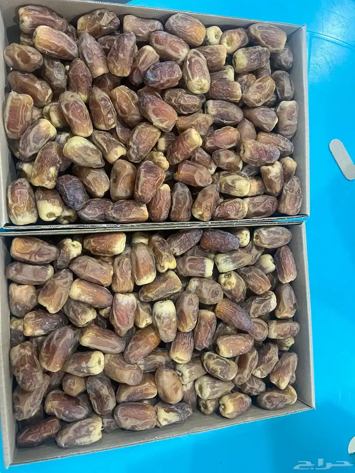 رطب خلاص وبرحي وصقعي 5