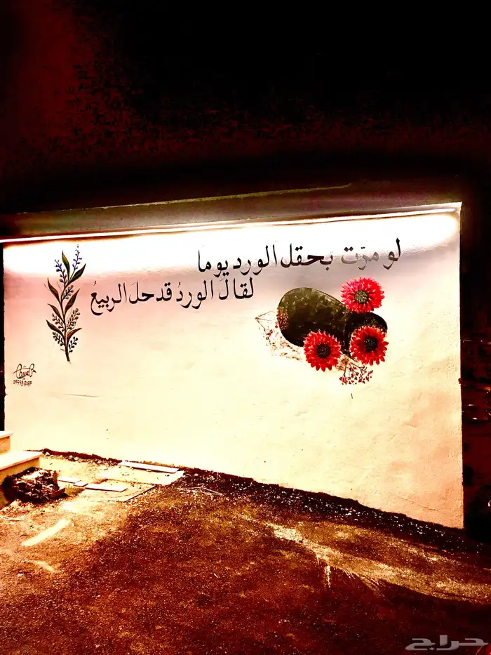 خطاط ورسام 0