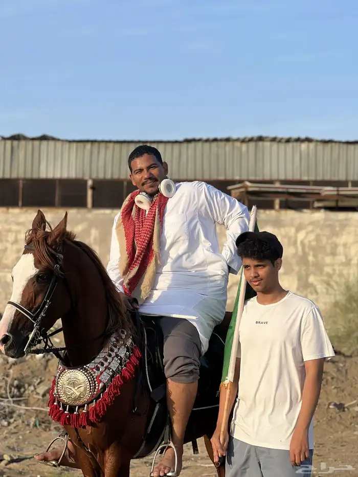 مربط خيول 5