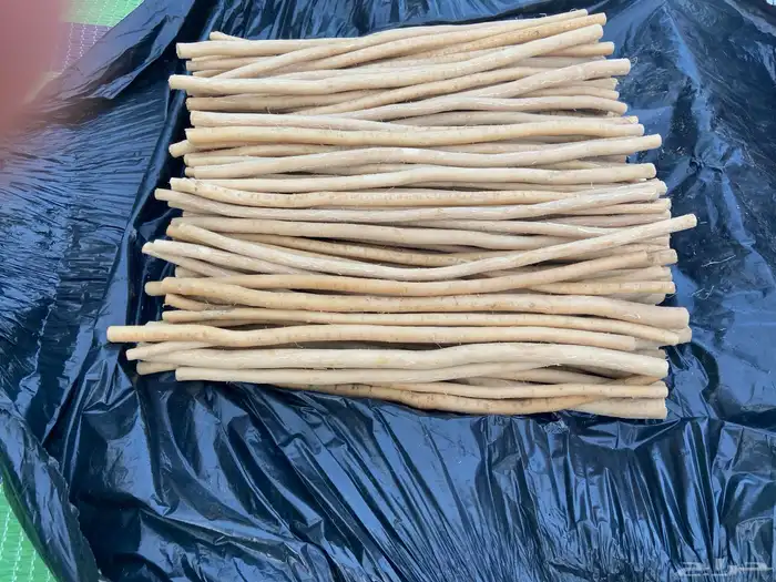 مساويك القنفذه وادي حلي 4