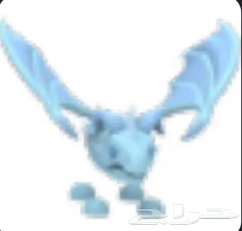 القطيف 0