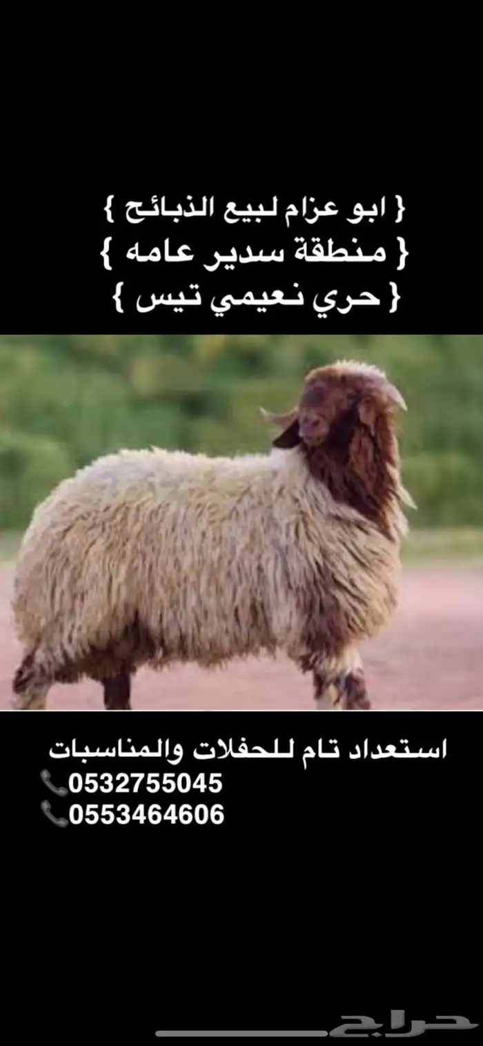 ذبائح المجمعه وضواحيها 0