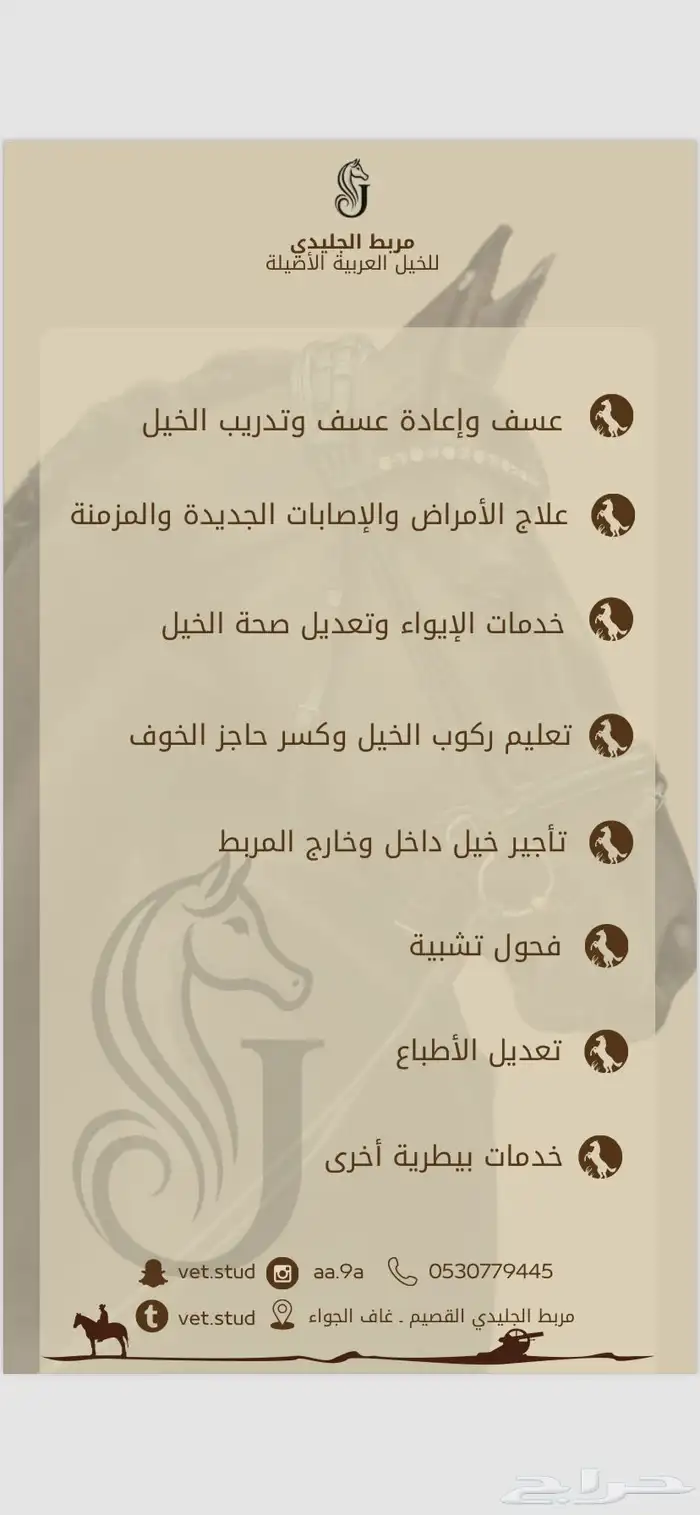 عسف وتطبيع وتدريب للخيل 14
