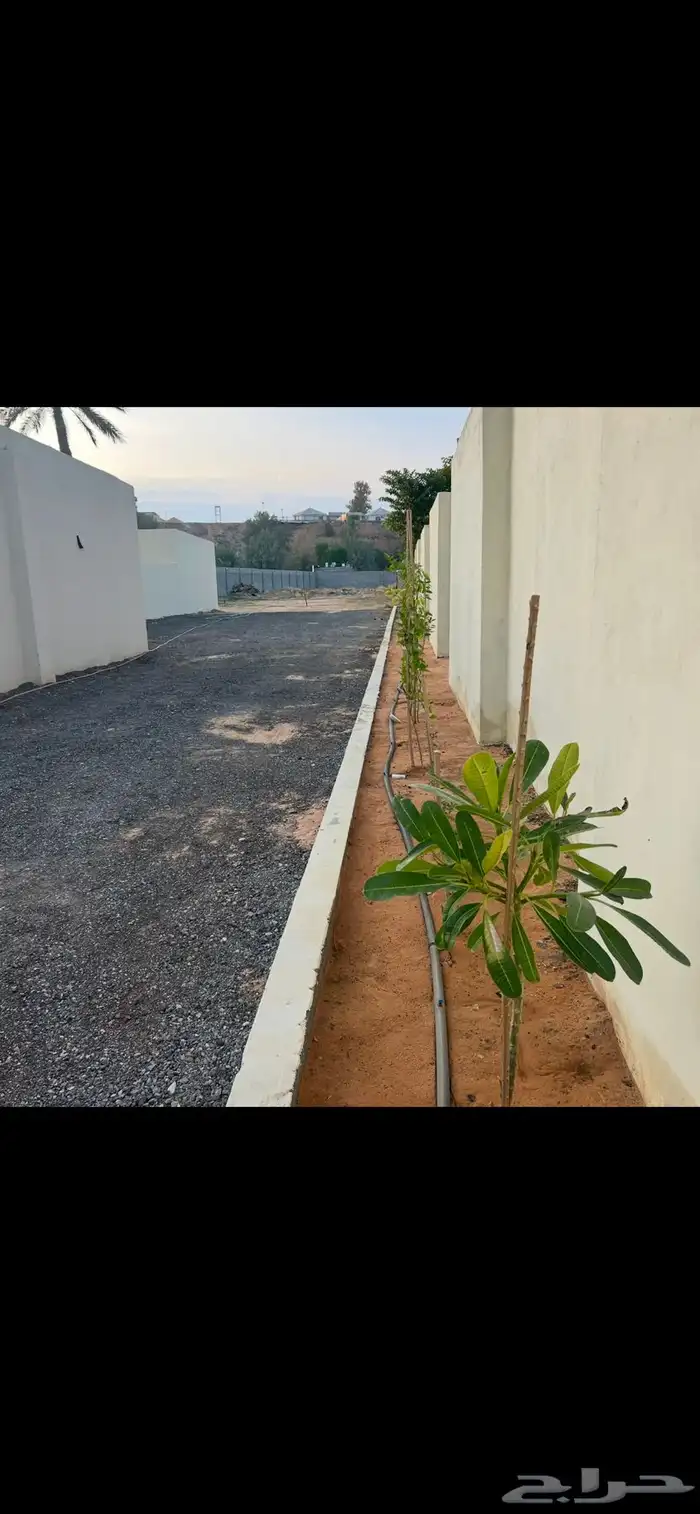 استراحة للايجار اليومي غرب بريدة 6