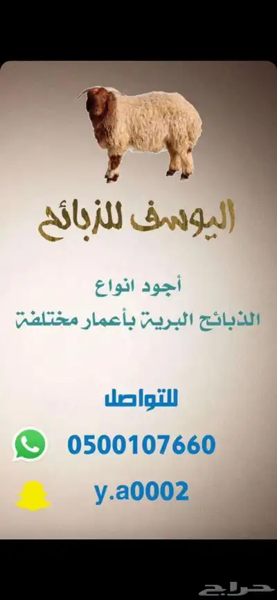 خرفان وقراقير 5