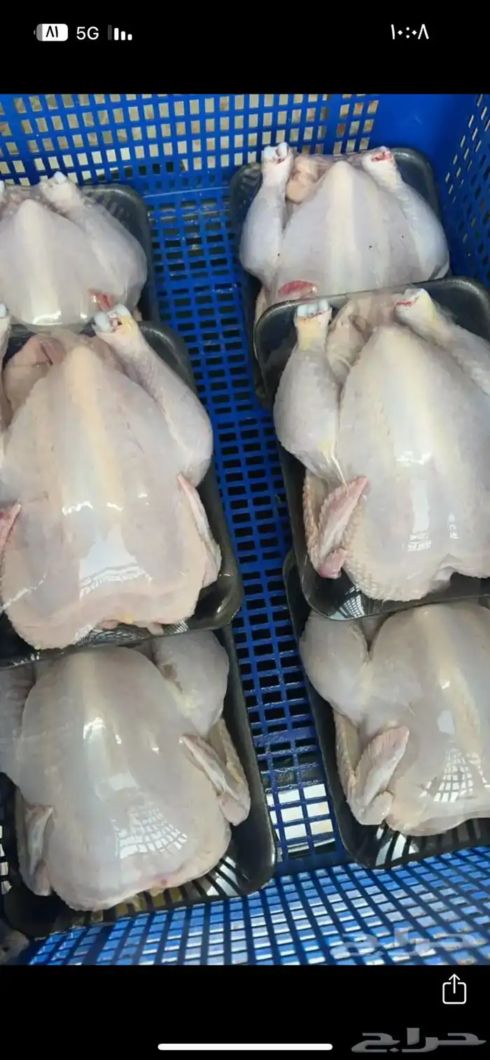 دجاج لاحم 0