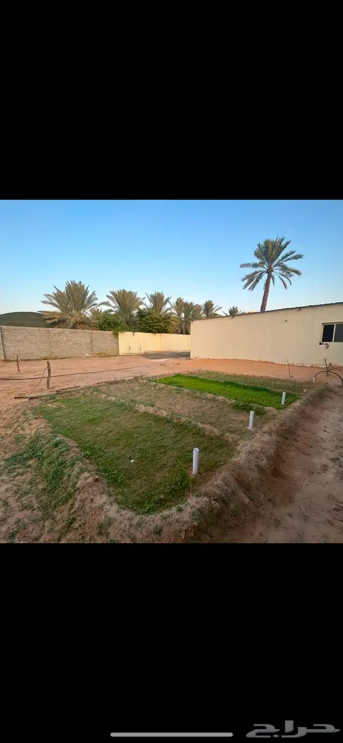 استراحة للايجار اليومي غرب بريدة 4