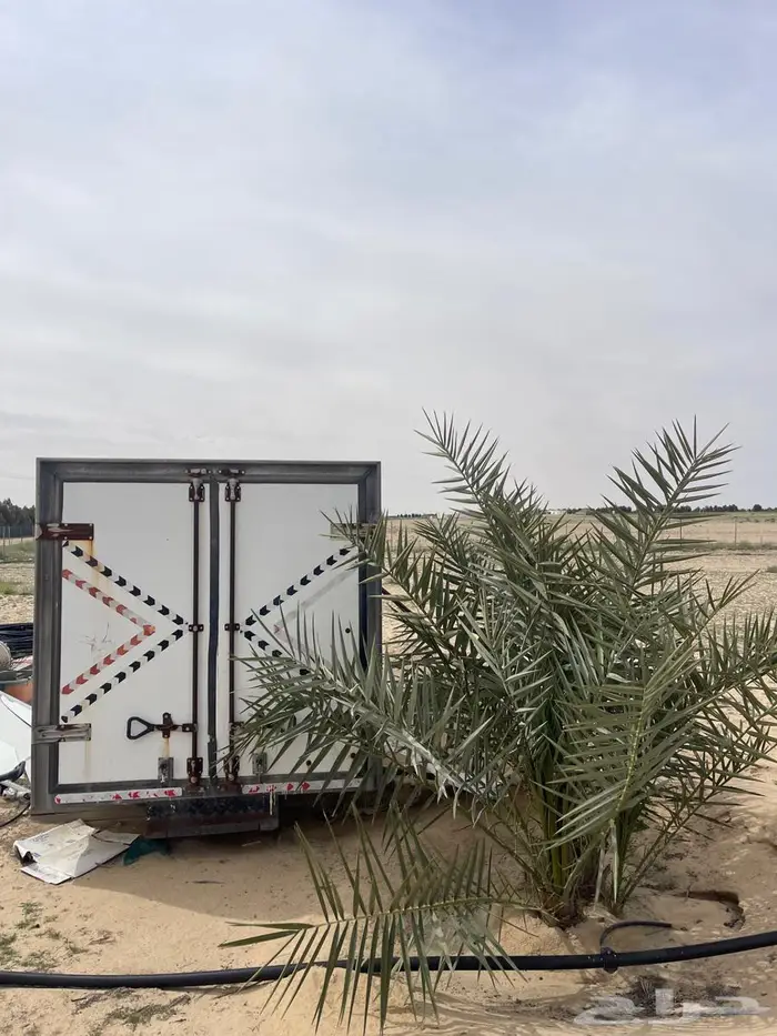 للبيع بيت شعر ابيض وخيمه. ثلاجه وارواقات 7