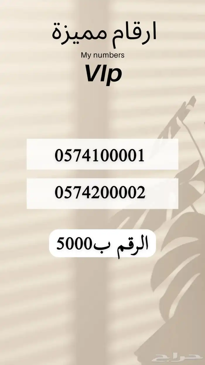 رقم مميز 32