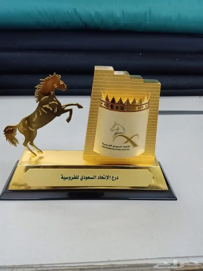 دروع 4