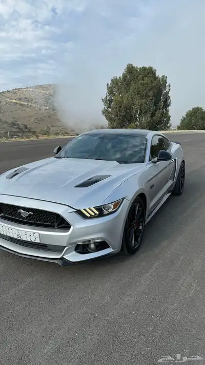 موستنق 2015 GT   premium2 6