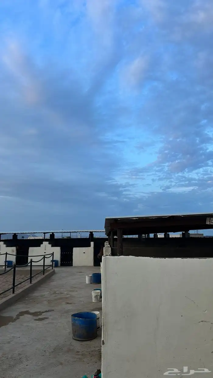 ايواء خيل 1