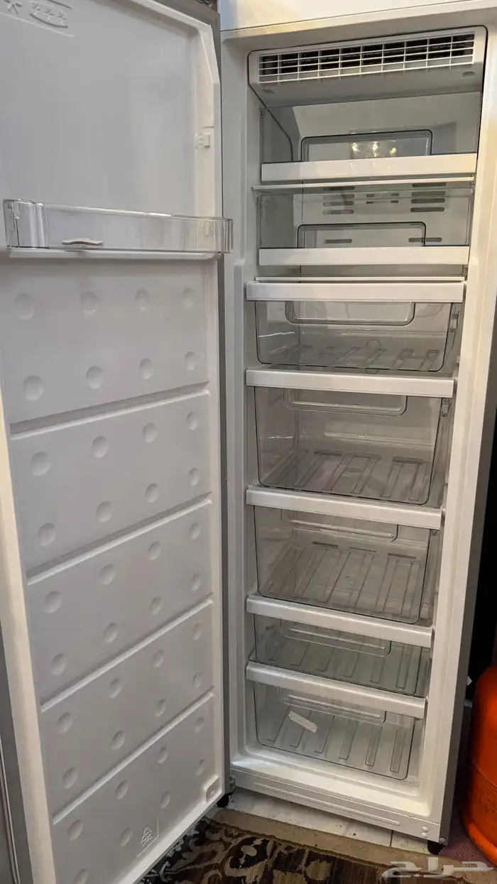 فريزر دورا 1