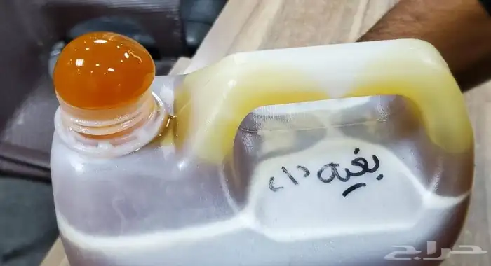 عسل سمن بلدي زيت سمسم 42