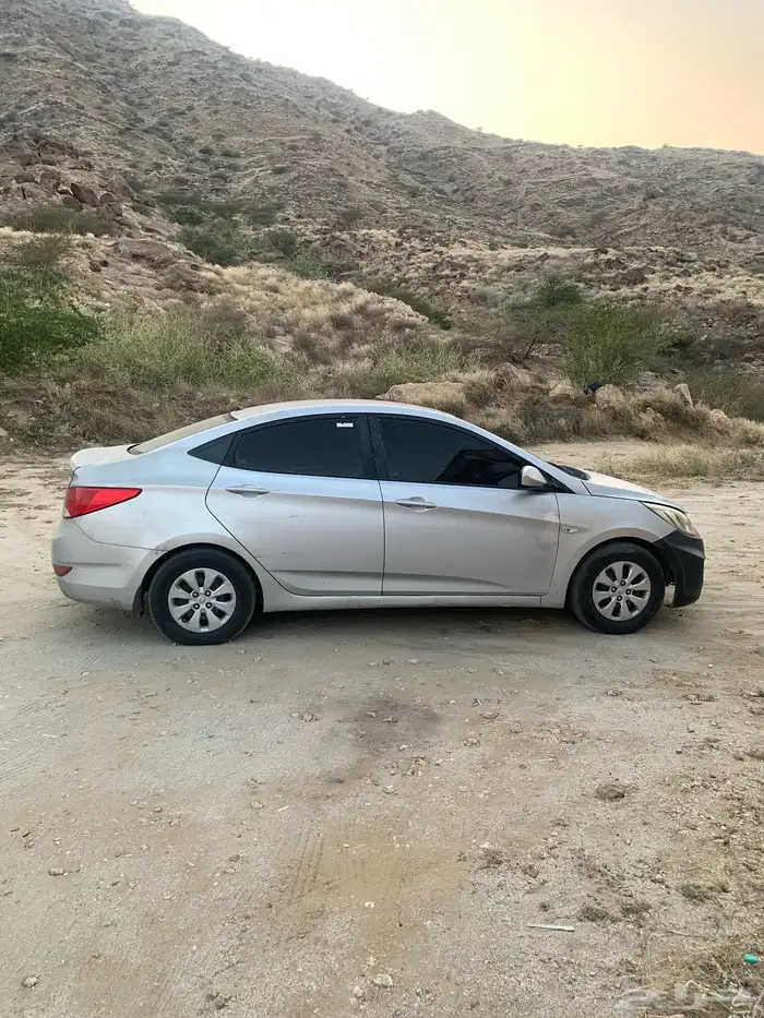 أكسنت 2015 المجاردة 0