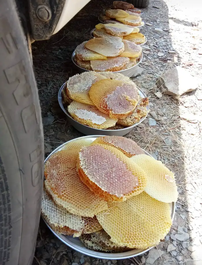 عسل سمن بلدي زيت سمسم 24