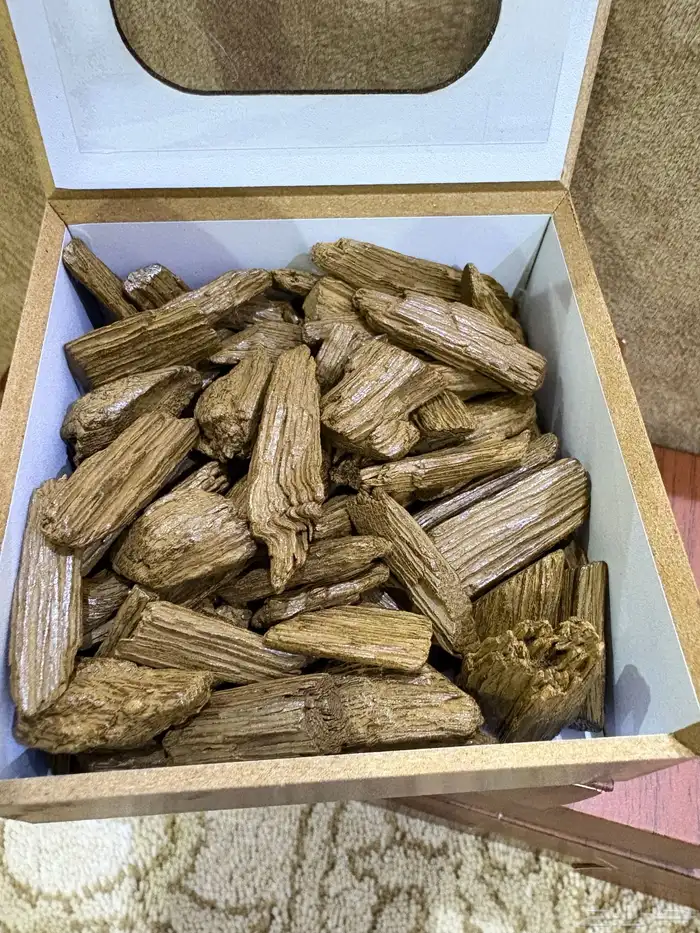 عودة سوبر مروكي محسن 2
