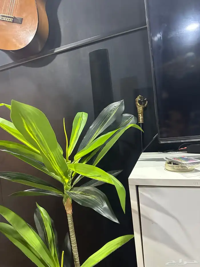 مسرح منزلي LG شبه جديد 7
