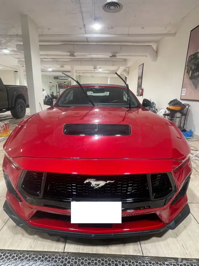 موستنق GT 0.5 2024 للايجار 2