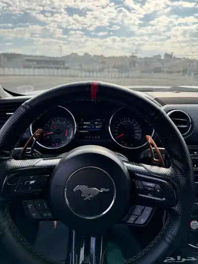 موستنق 2015 GT   premium2 13