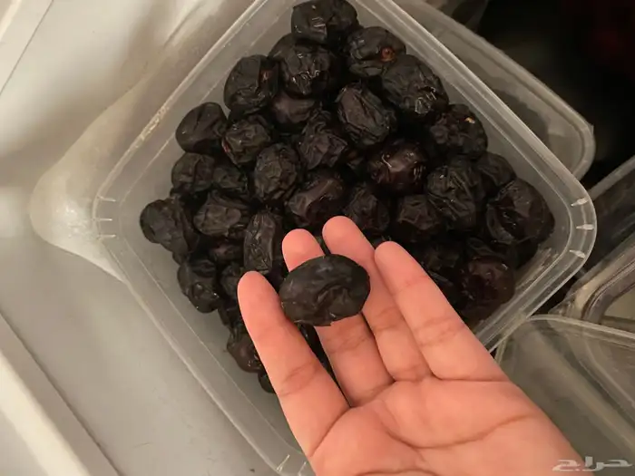 تمر عجوة المدينة للبيع 2