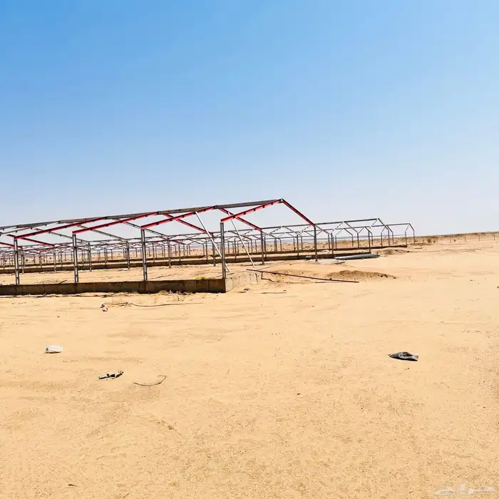 حظائر دواجن 1