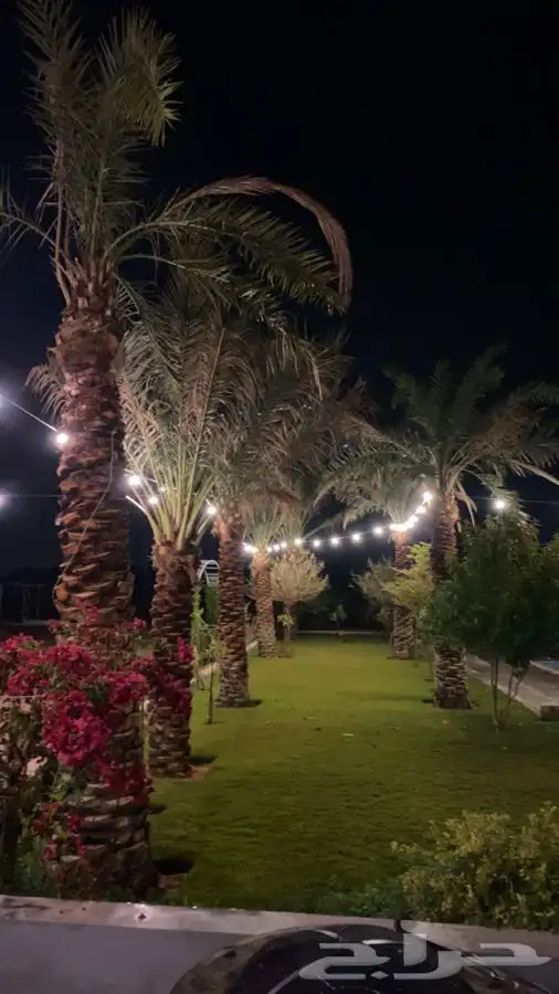 منتجع للايجار   رياض الخبراء 57