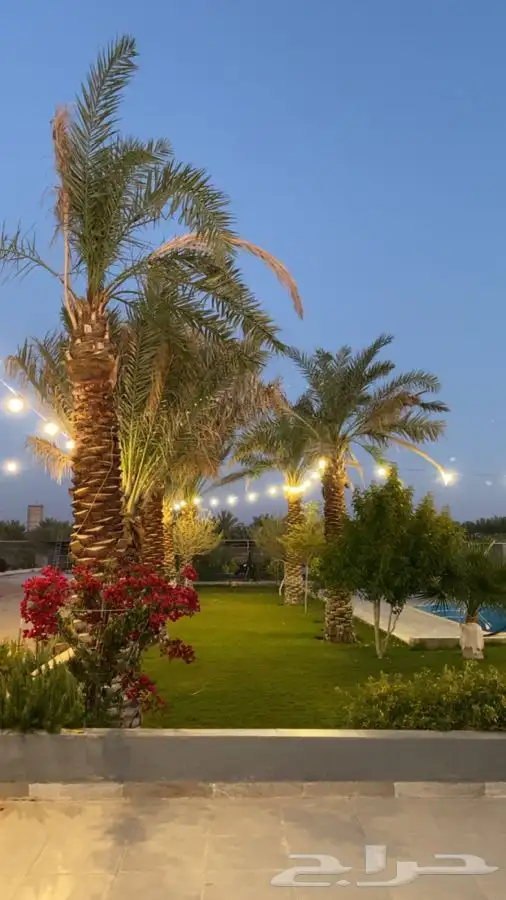 منتجع للايجار   رياض الخبراء 56