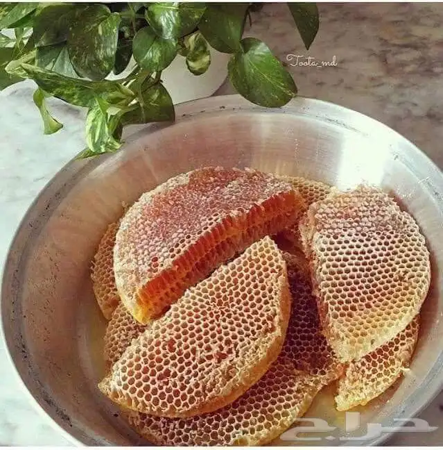 عسل سمن بلدي زيت سمسم 60