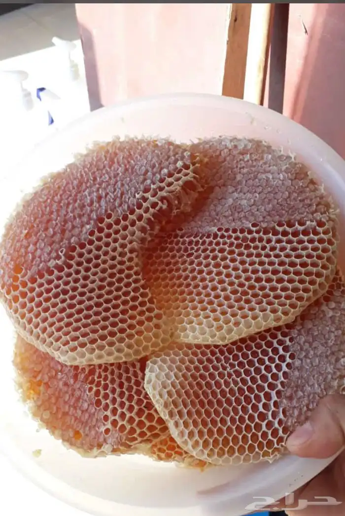 عسل سمن بلدي زيت سمسم 73