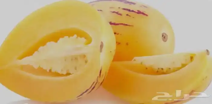شتلات ببينو فاكه لذيذه 0