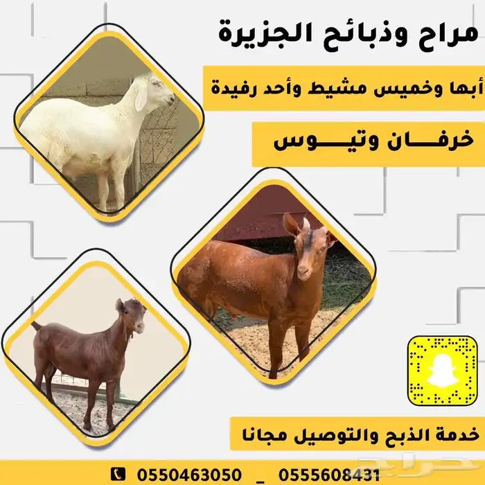 ذبايح مع خدمة الذبح والتوصيل 0