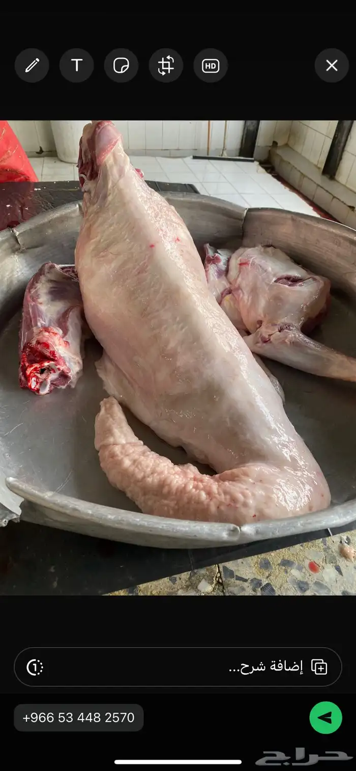 ذبايح سواكن وحري يوجد ذبح وتوصيل لحمة شرط 0