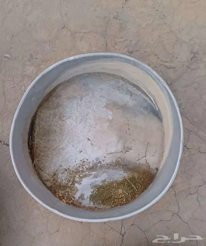 مركب غاز وقدور عزايم كبيرة ودولاب 10