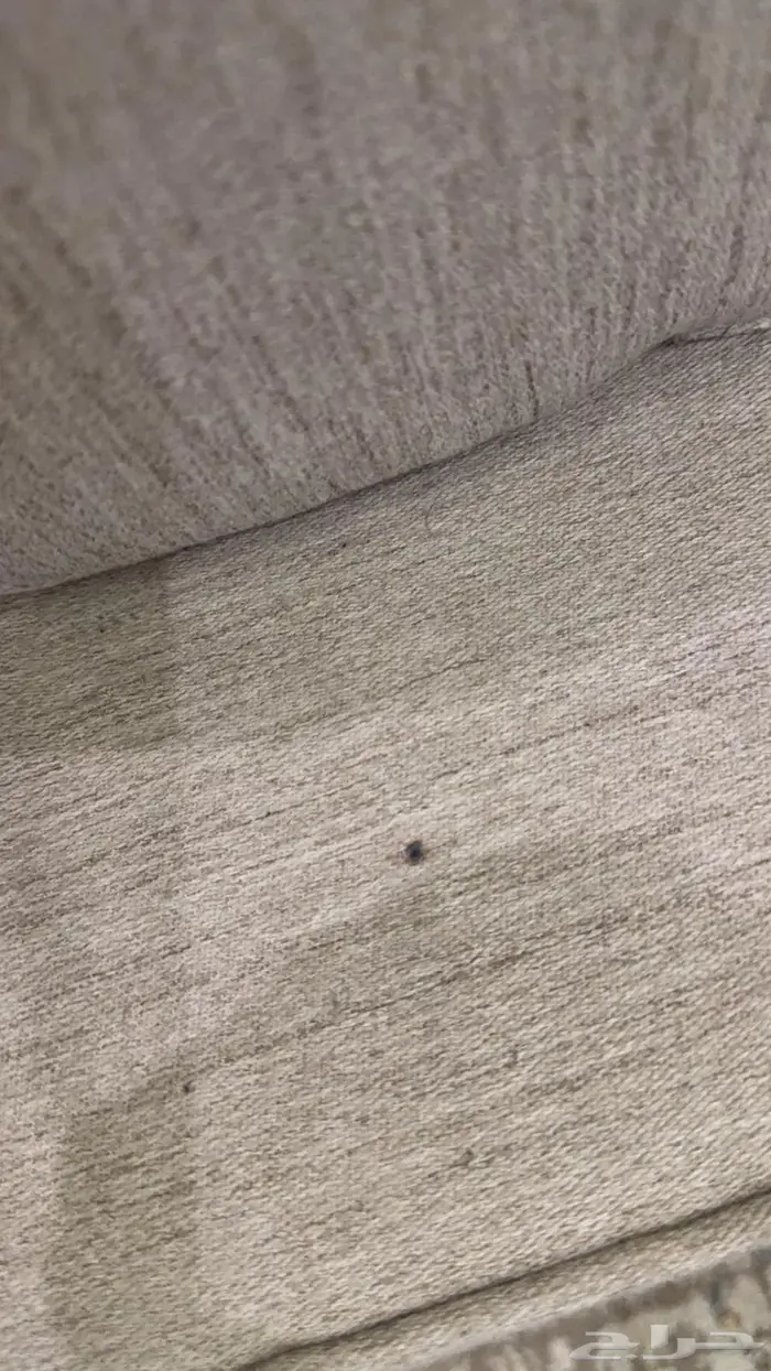 مجلس صغير للبيع 2