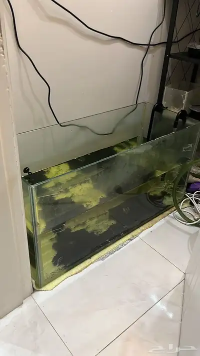 حوض سمك كبير 2