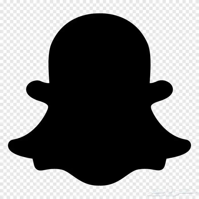 خدمات سناب شات و الملفات التعريفيه العامه 0